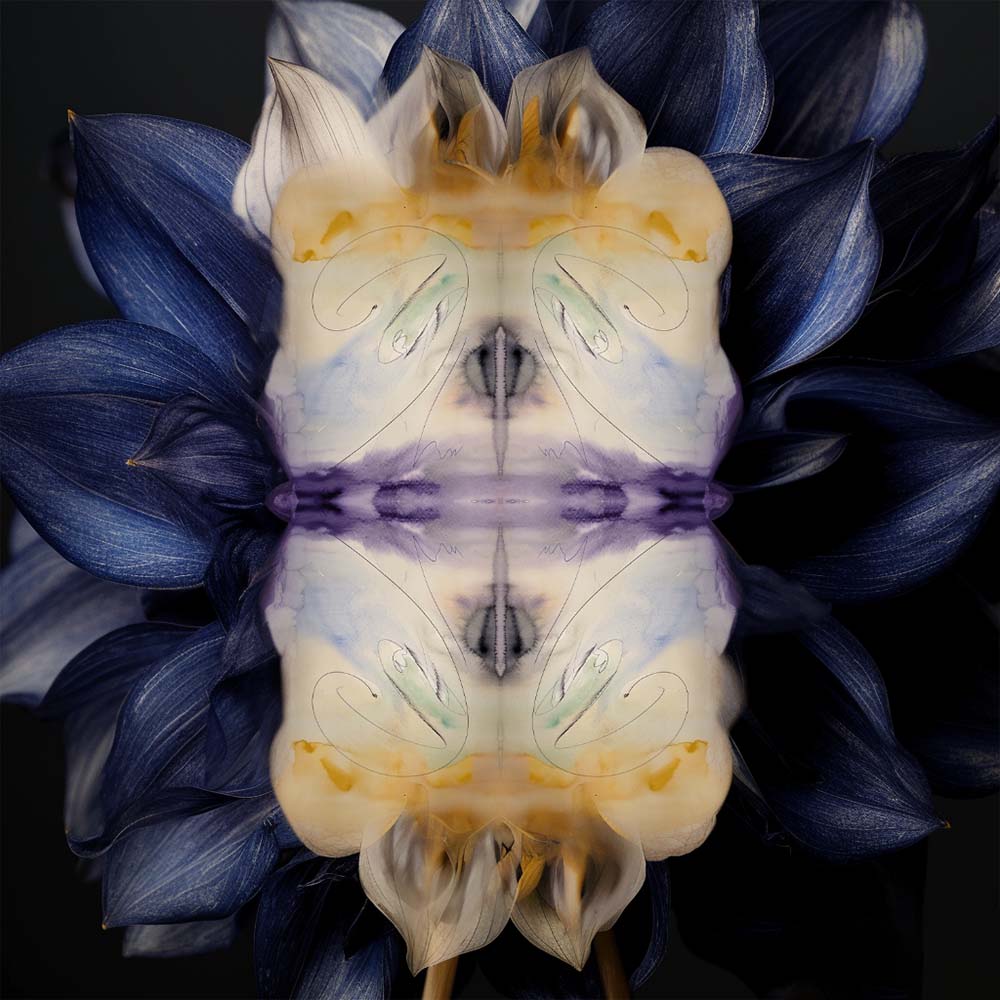 voss12_2 voss12_2