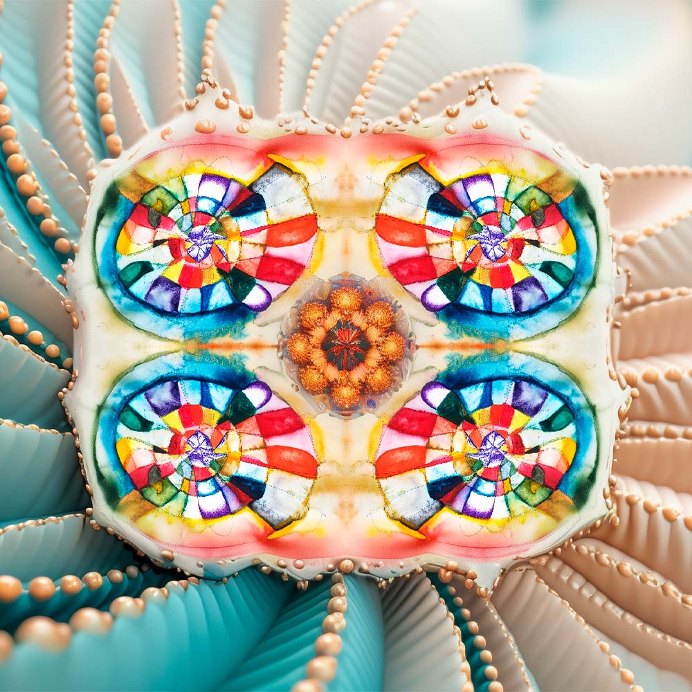 общая1